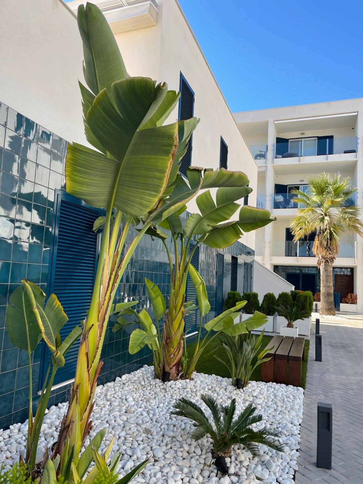 Apartamento Hola Blanca - Sea, Golf, Chill Dehesa de Campoamor  Exterior foto