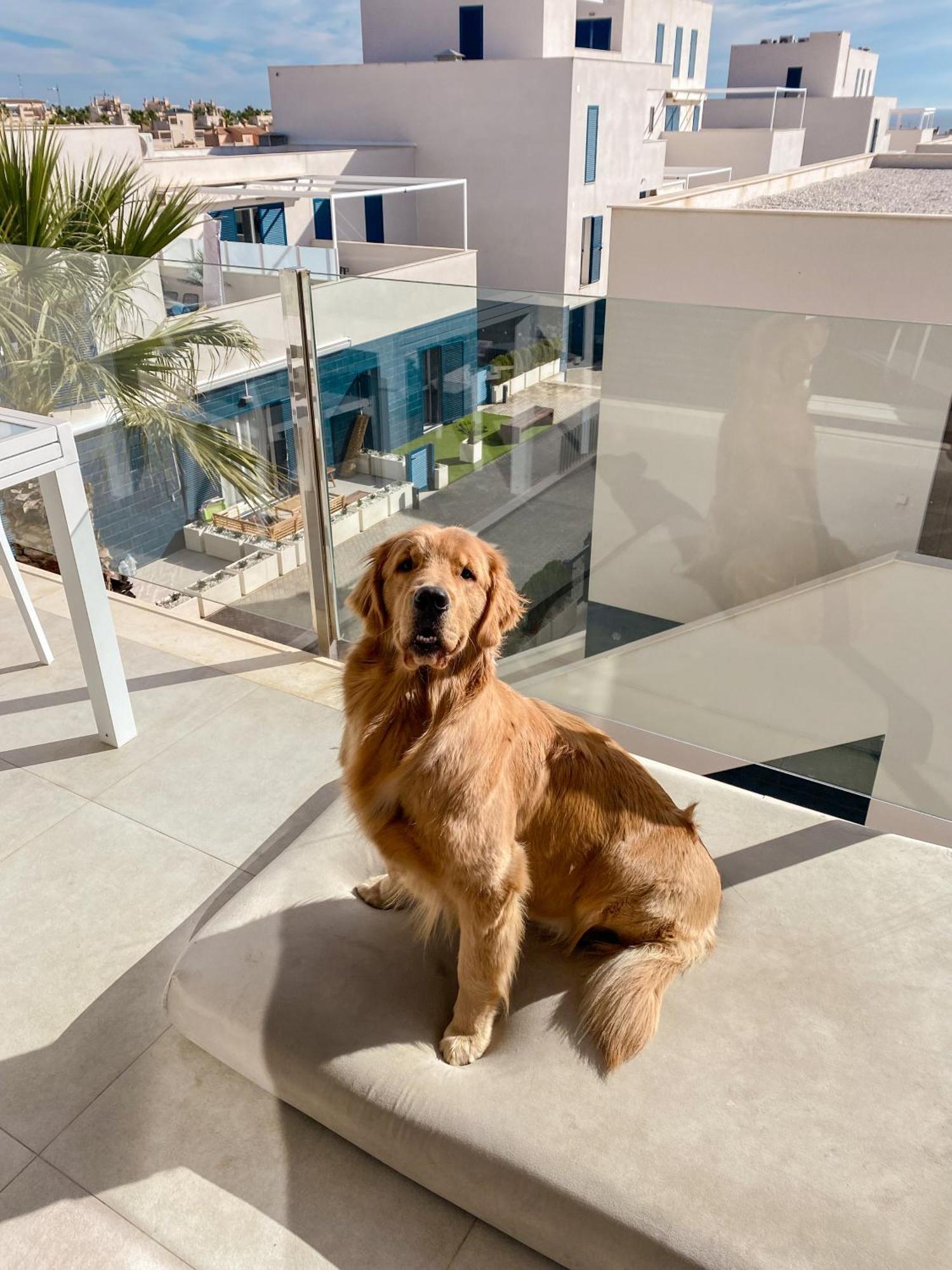 Apartamento Hola Blanca - Sea, Golf, Chill Dehesa de Campoamor  Exterior foto