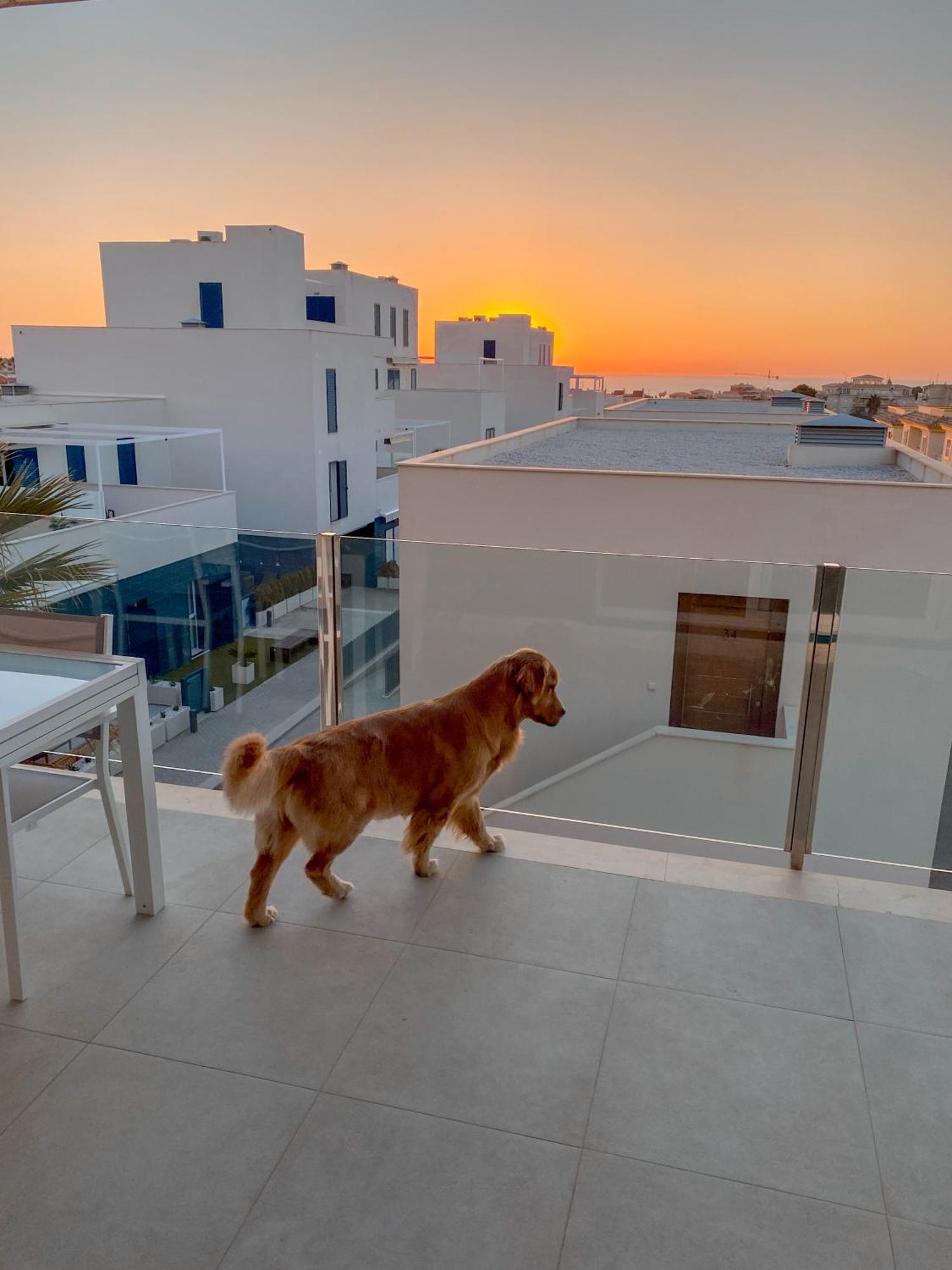 Apartamento Hola Blanca - Sea, Golf, Chill Dehesa de Campoamor  Exterior foto