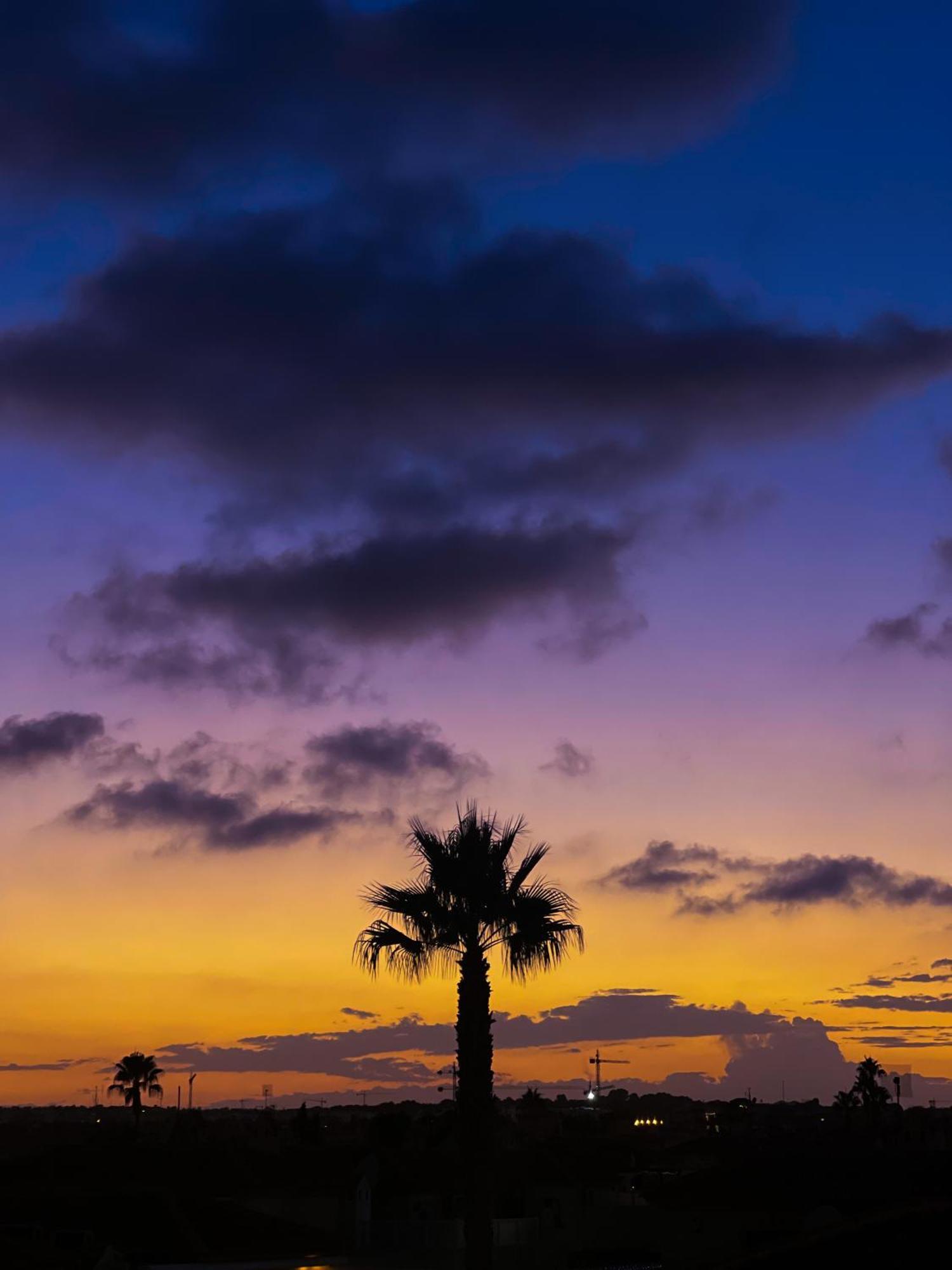 Apartamento Hola Blanca - Sea, Golf, Chill Dehesa de Campoamor  Exterior foto